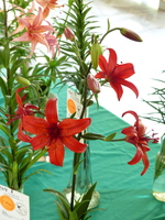 Foto: Dr. Peter Müller